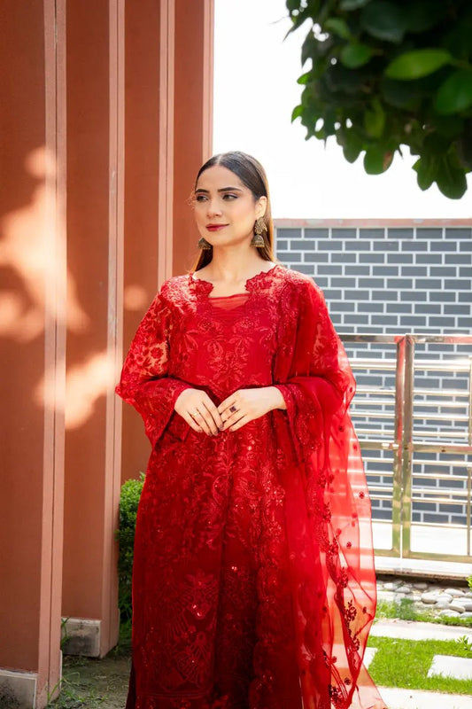 ❤️ Crimson Royale – Luxury Organza Party Wear - Mahriza