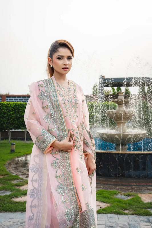 🌸 Blush Grace – Luxury Embroidered & Sequin Organza Suit