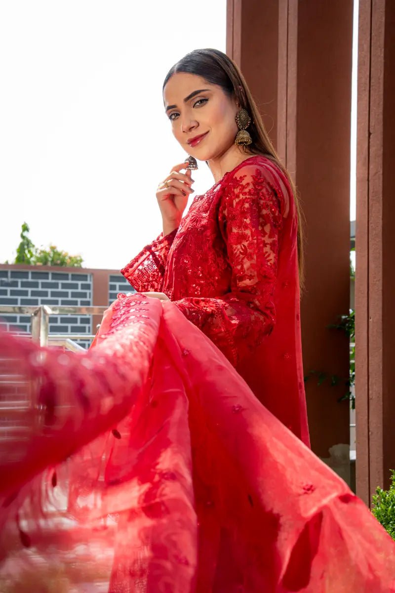 ❤️ Crimson Royale – Luxury Organza Party Wear - Mahriza